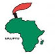 You are currently viewing African Youth Union